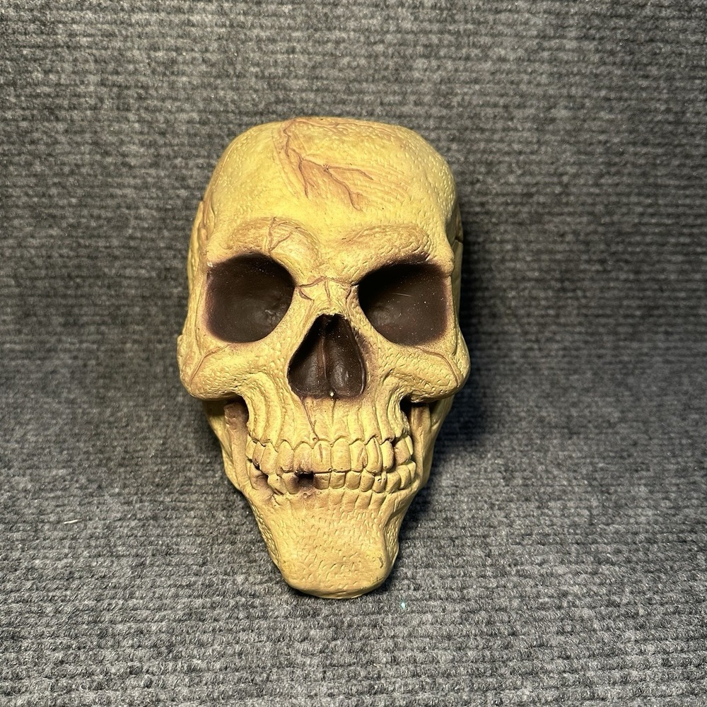 VTG‎ Halloween Easter Unlimited Rubber Foam Filled Prop Skull Life Like Deco